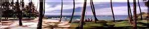 A Maui Oceanview